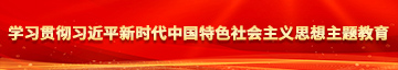 鸡巴插逼视屏学习贯彻习近平新时代中国特色社会主义思想主题教育